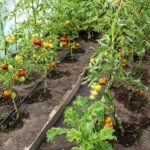 Sistemi za avtomatsko zalivanja vrta